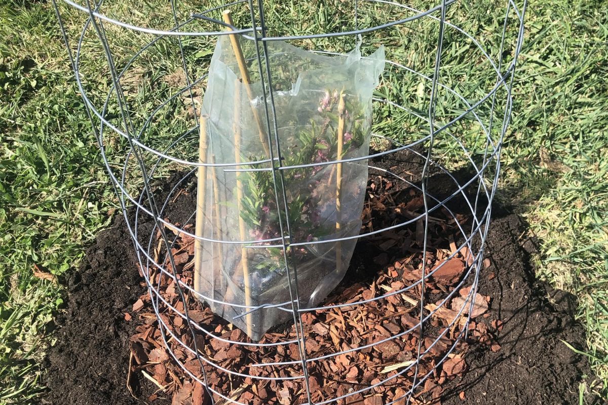 Kangaroo Protection Cylindrical Barrier