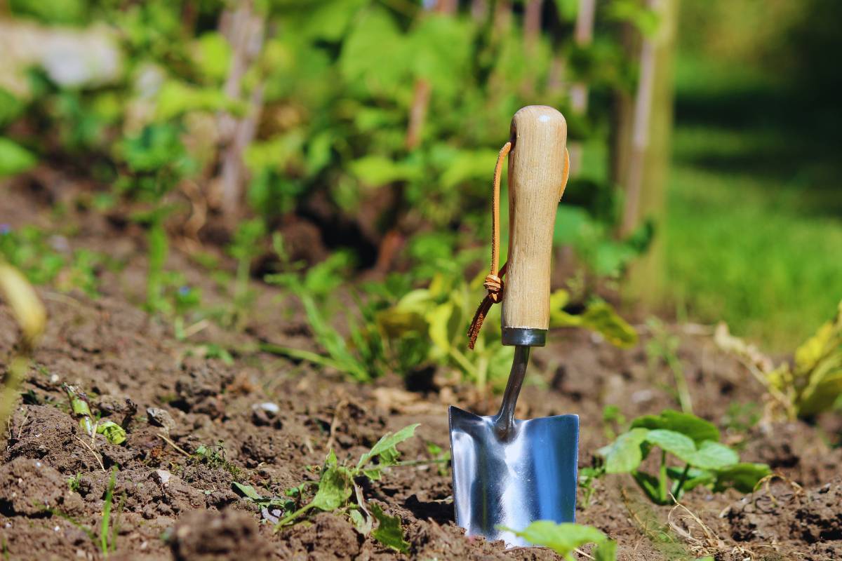 trowel in garden bed
