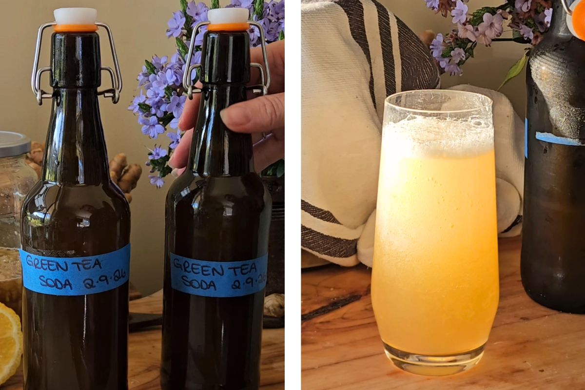 Gingerbug soda ready