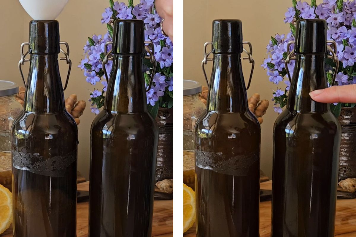 Gingerbug soda bottling