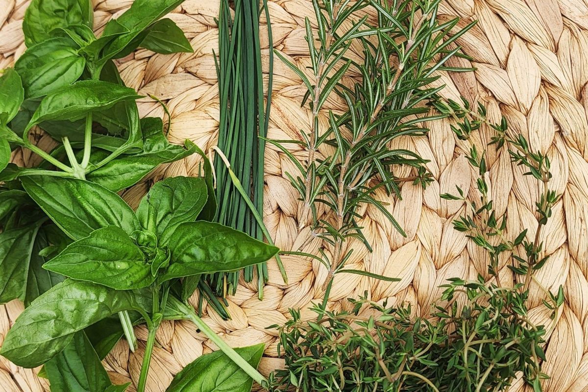 Herbs for herb butters