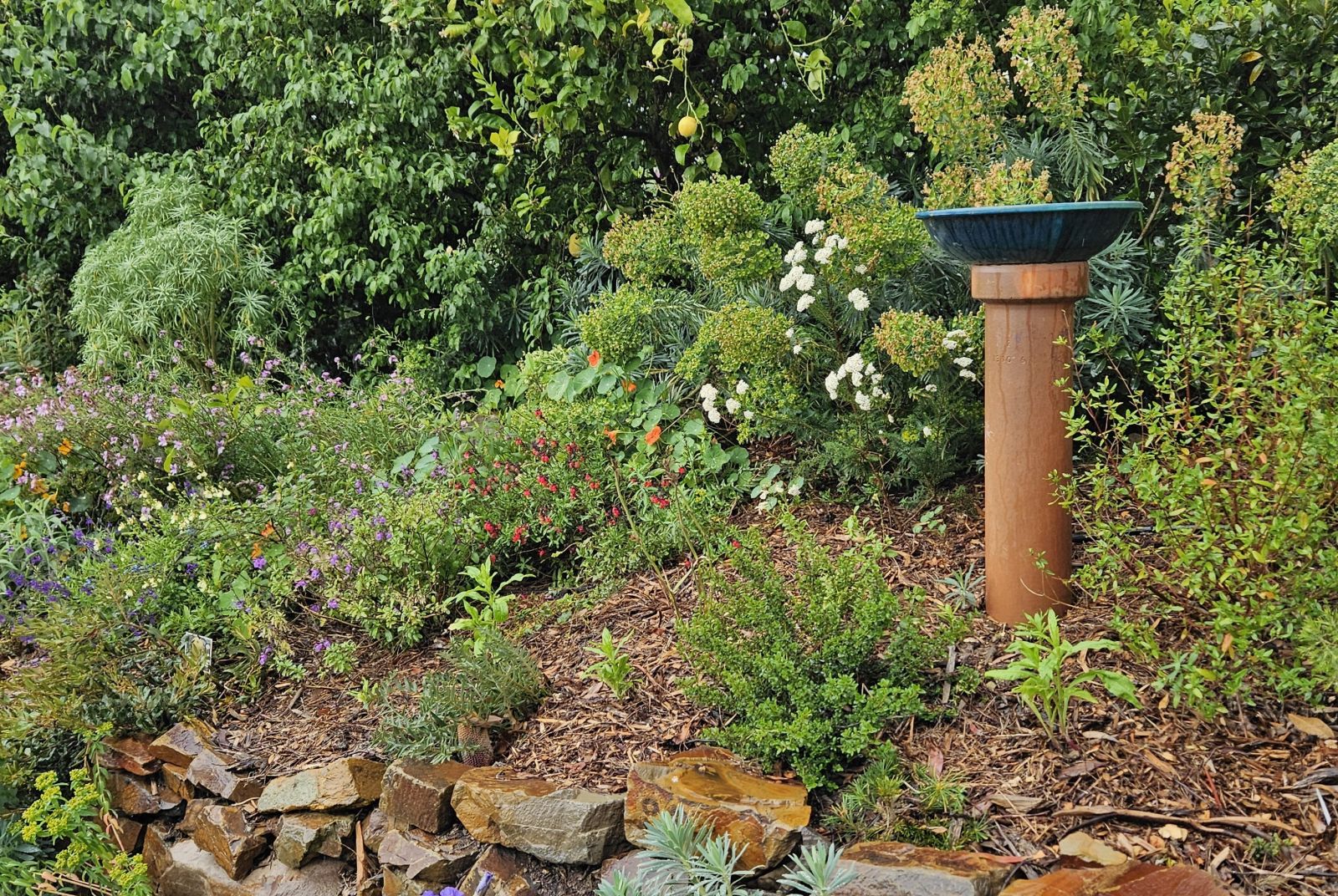 bird_bath_in_high_position