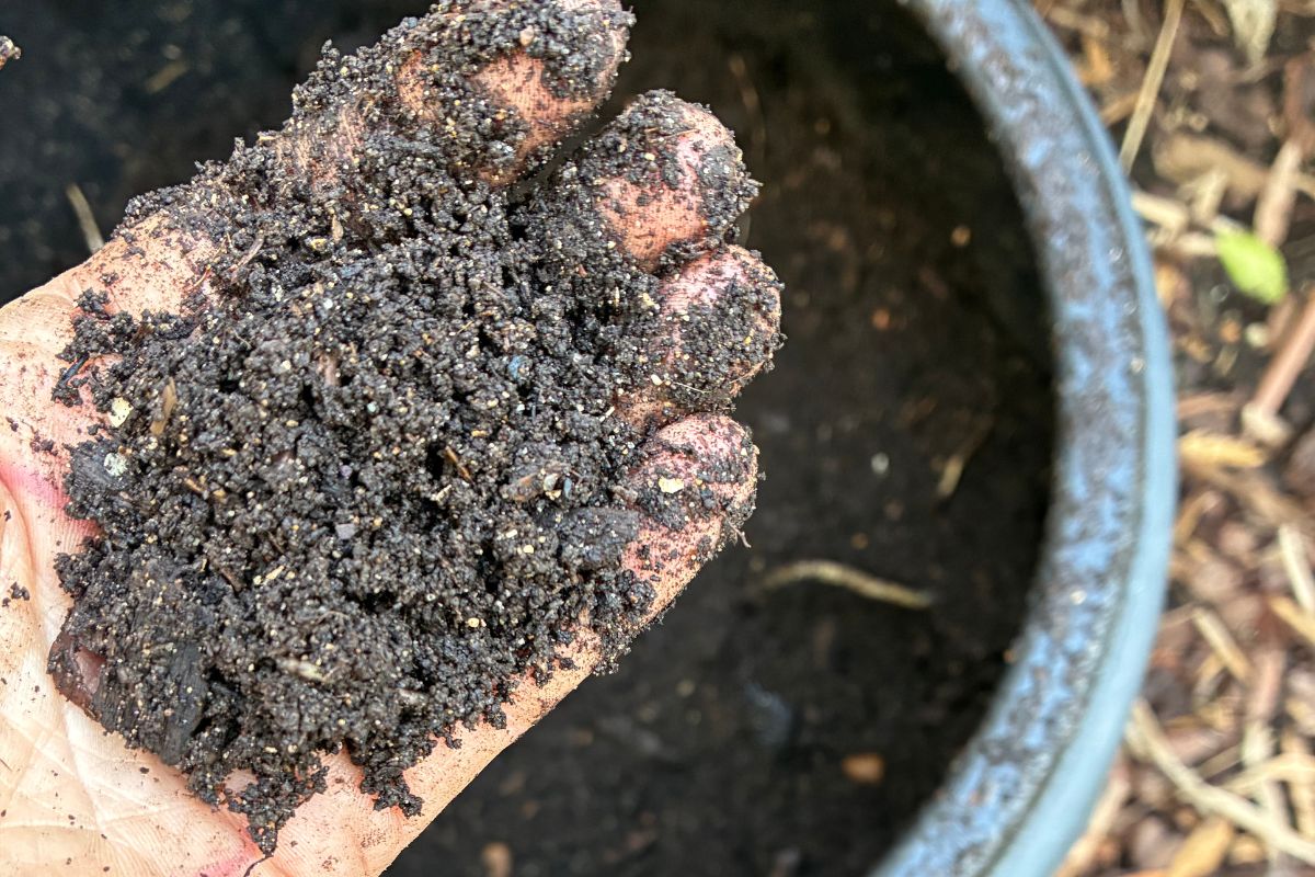 homemade compost worm farm healthy soil