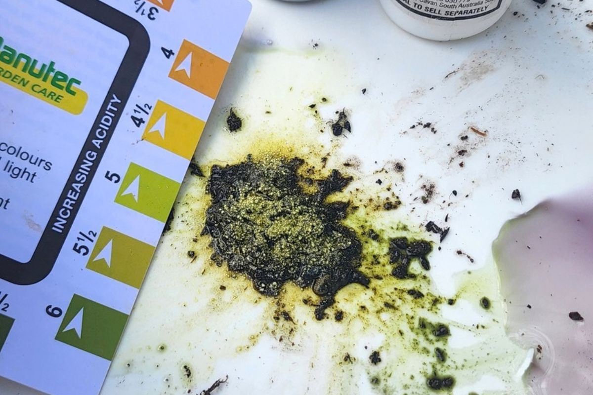 Ph soil test