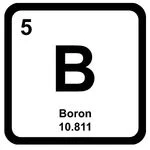 Boron deficiency 