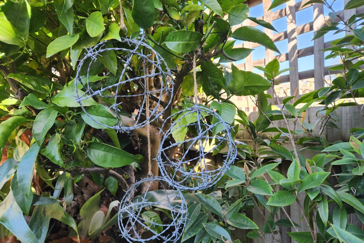 Reclaimed wire balls for wildlife
