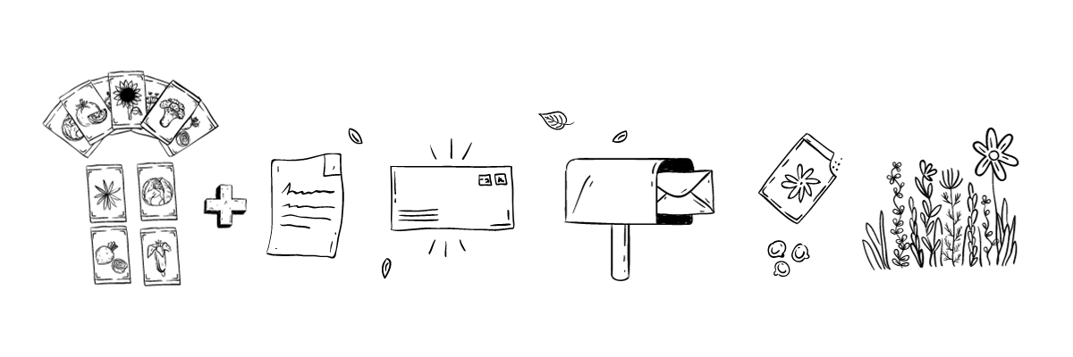 An illustration showing seed packets, an envelope, a letterbox, an open packet of seeds and a thriving garden