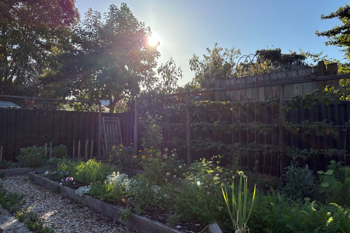 Afternoon sun setting