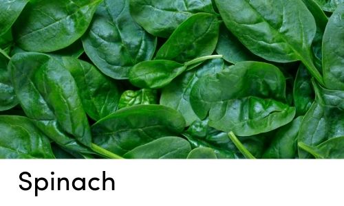 spinach