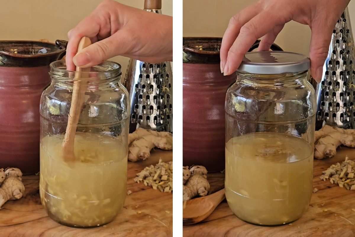 Stirring and storing the gingerbug