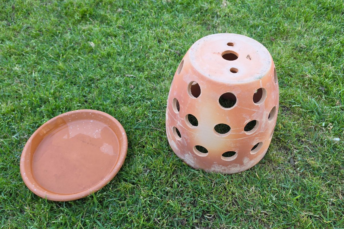 terracotta pot worm farm compost completed