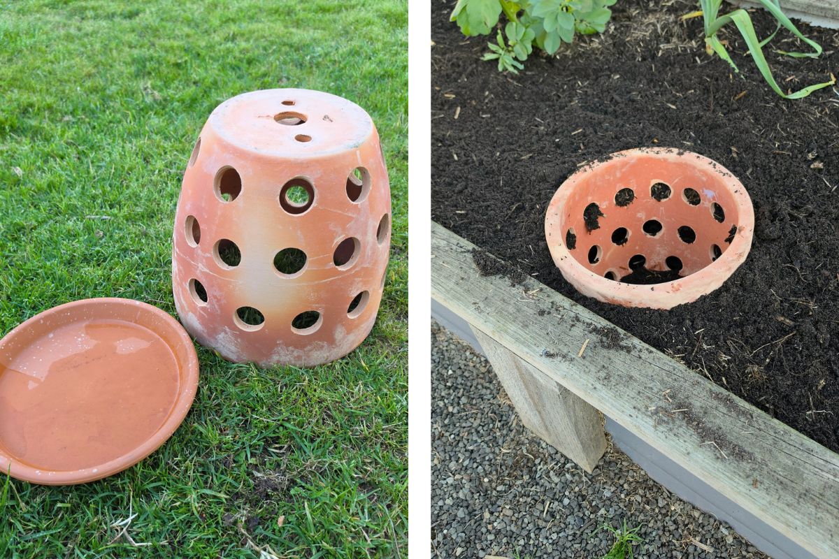 terracotta pot worm farm compost ready to use