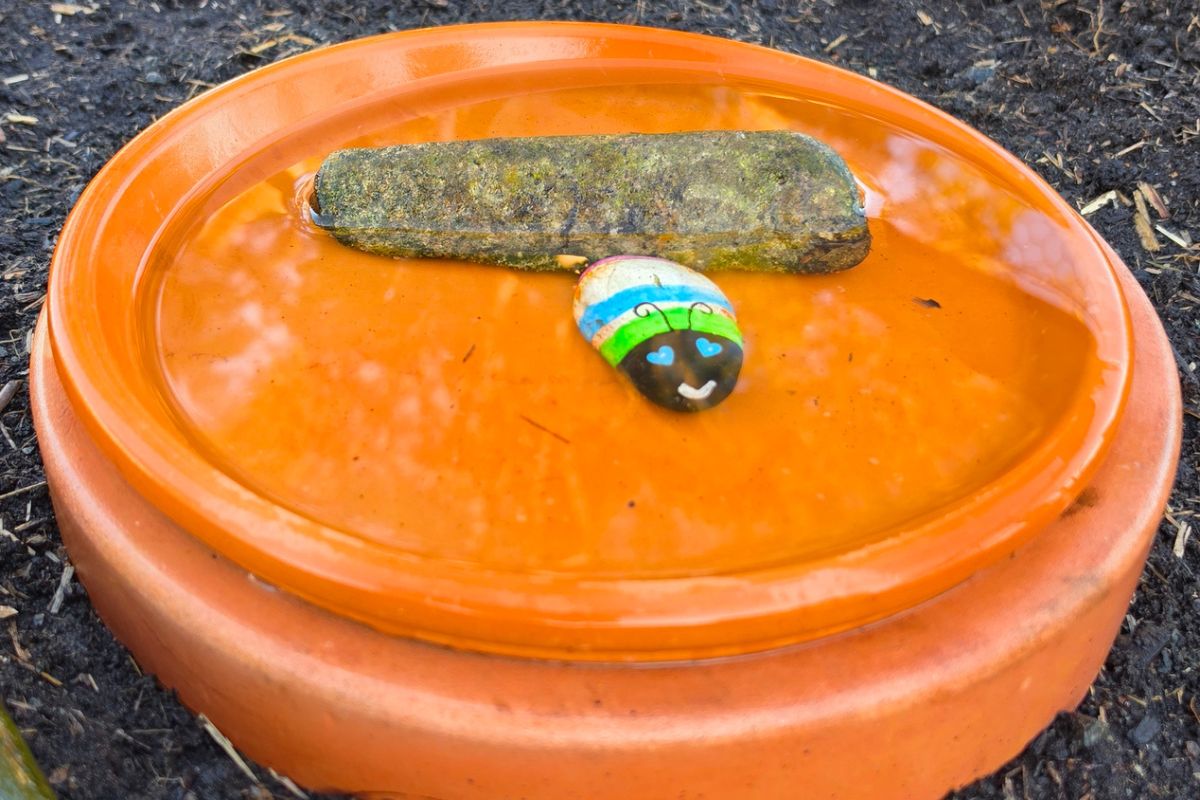 terracotta pot worm farm compost with pet rock bee watering station