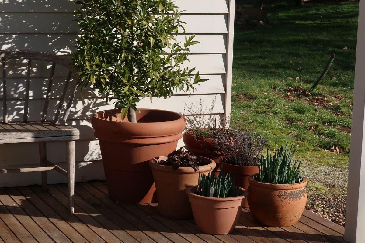 terracotta pots on decking in winter