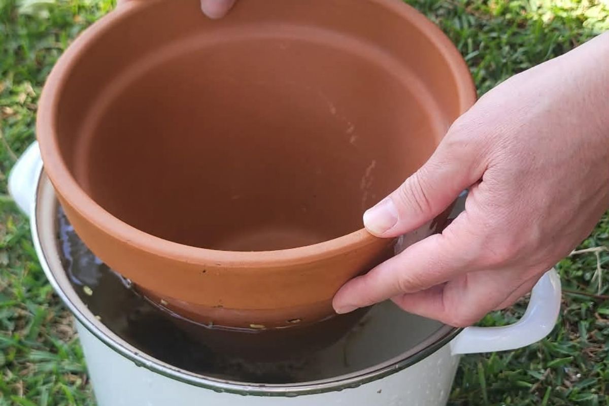 Testing Olla Pot Seal