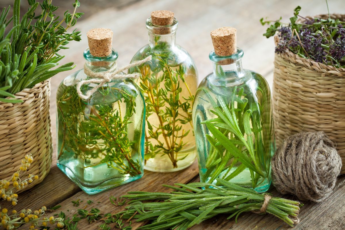 three bottles of herb vinegar