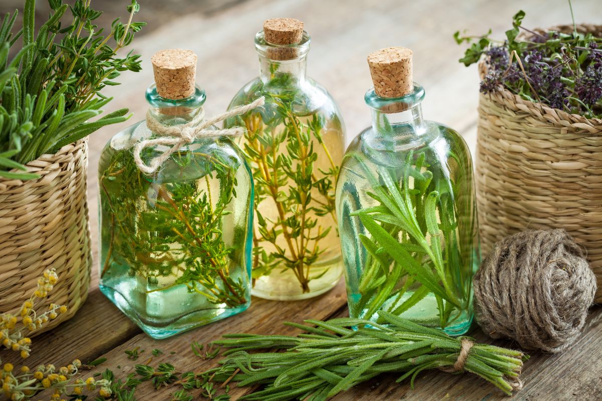 three bottles of herb vinegar