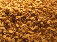 Tomato Seed