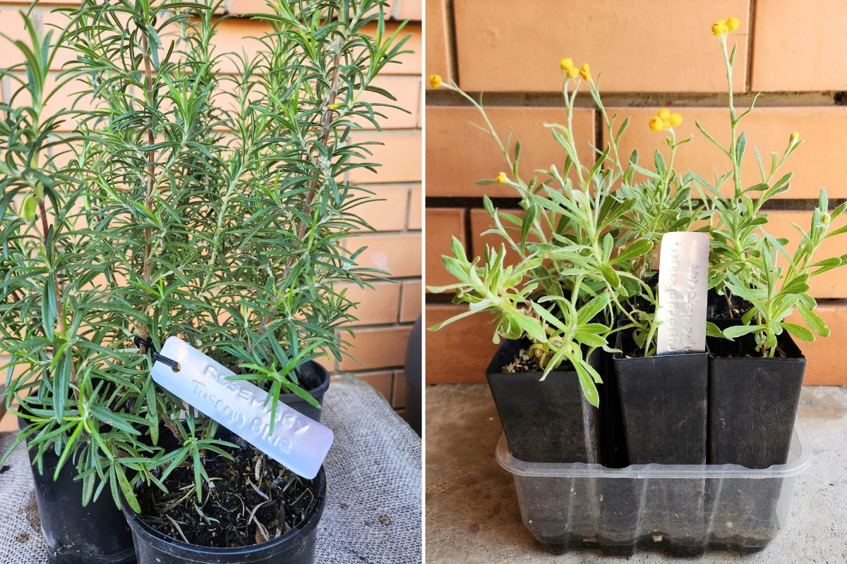 Aluminium labels on pots