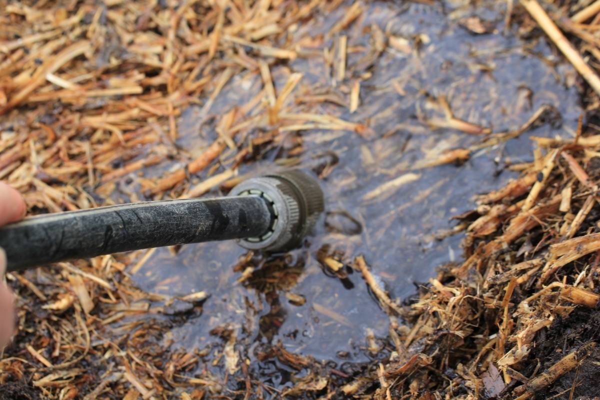 a garden hose adding water to straw bales to condition them ready for planting