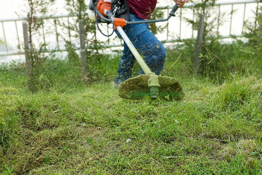 A person whipper snippering a lawn before making it into a garden bed