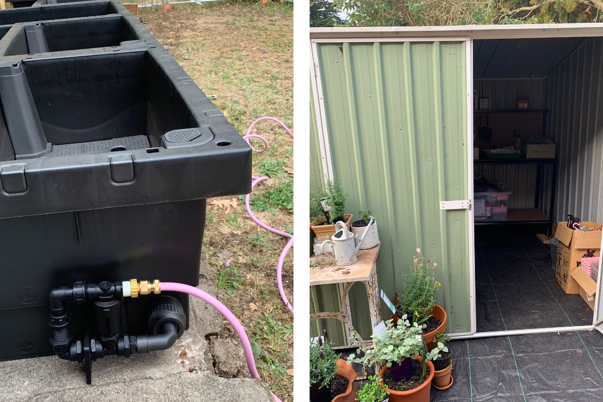 wicking beds and shed