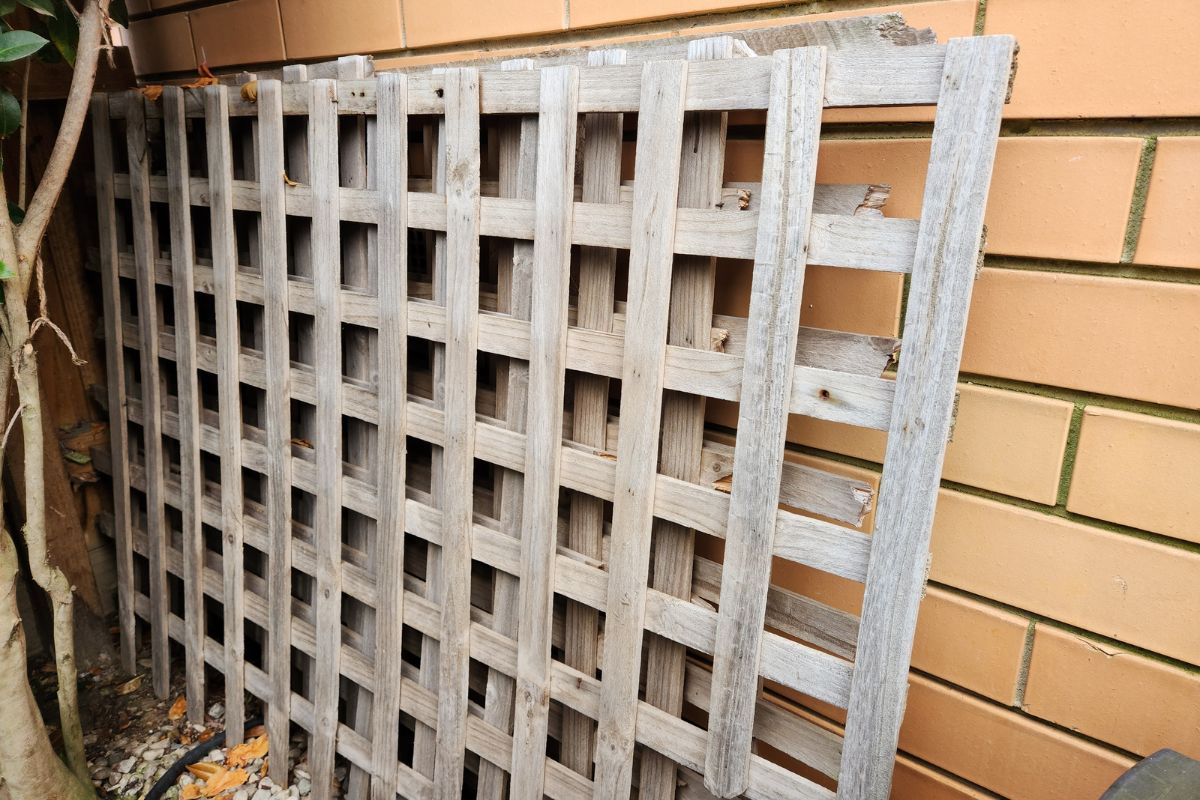 New wooden trellis