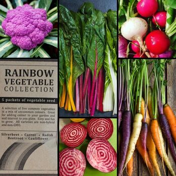 "Rainbow Vegetable" Seed Collection