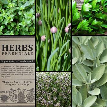 "Herbs- Perennials" Seed Collection