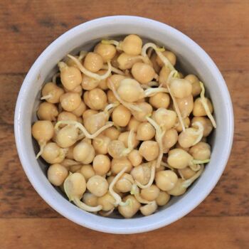 Sprouting Seeds- Chickpeas ORGANIC