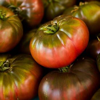 Tomato- Cherokee Purple
