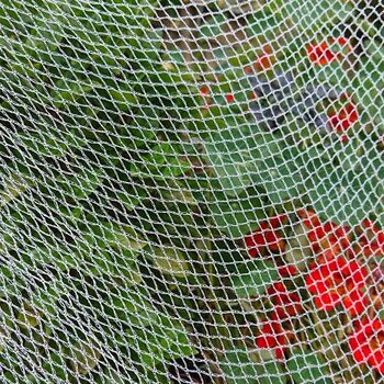 Wildlife Friendly Bird Netting- 10m x 10m