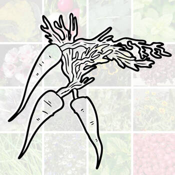 March Vegetable, Cool Climate, Seed Bundle