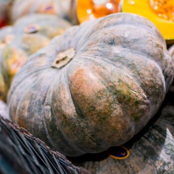 Pumpkin- Iran
