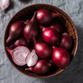 Onion- Red Odourless