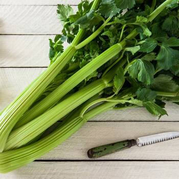 Celery- Tall Utah