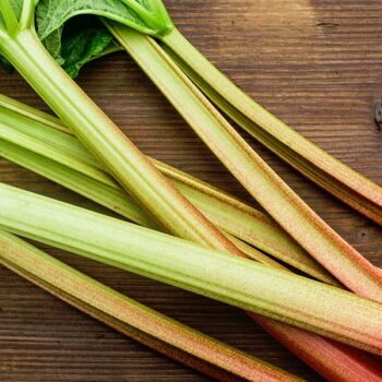 Rhubarb- Victoria