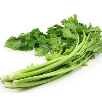 Celery- Chinese