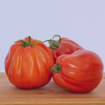 Tomato- Big Pear