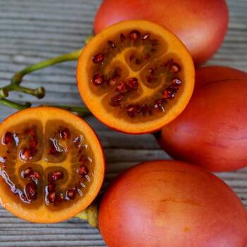 Tamarillo- Red