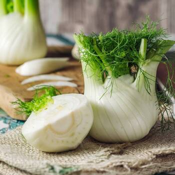 Florence Fennel