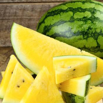 Watermelon- Mountain Sweet Yellow