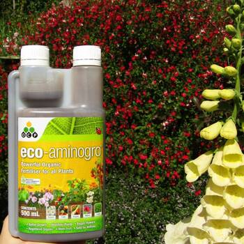 Eco Aminogro Organic Fertiliser- Concentrate 500ml