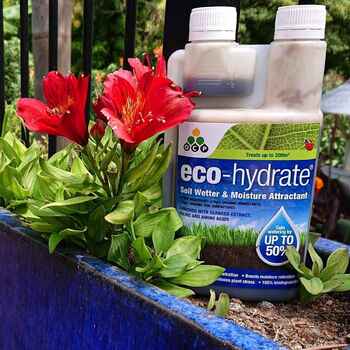 Eco Hydrate Soil Wetter- Concentrate 500ml
