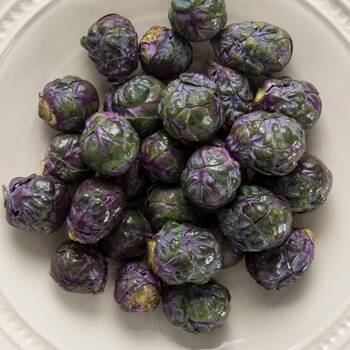 Brussels Sprouts- Red