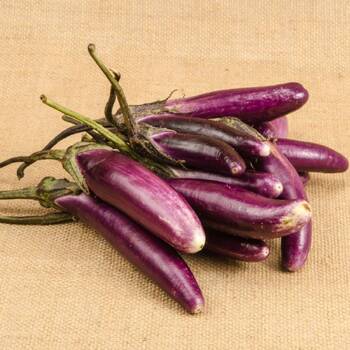 Eggplant- Little fingers
