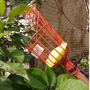 Easy Reach Fruit Tree Harvesting Tool