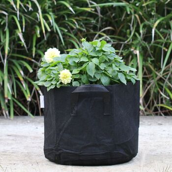 Fabric Pot Grow Bags