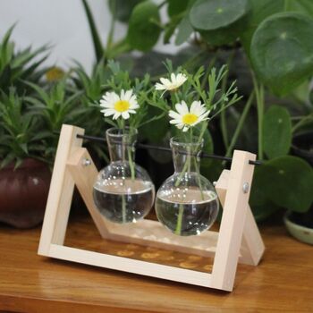 Propagation Station- Double Vessel