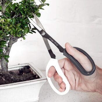 Japanese Pruning Scissors